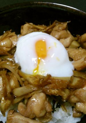 卵のせ☆甘辛鶏ごぼう丼-レシピのメイン写真