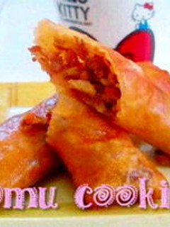 焼き肉春巻き-レシピのメイン写真