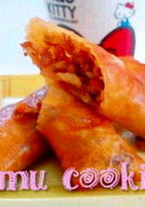焼き肉春巻き-レシピのメイン写真