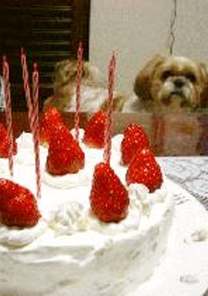 ☆簡単☆美味しい☆スポンジケーキ☆基礎基本☆-レシピのメイン写真