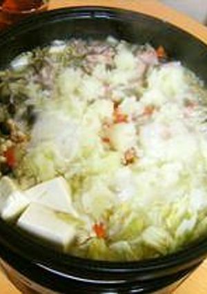 鶏塩みぞれ鍋-レシピのメイン写真