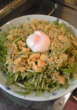 簡単☆沢山食べちゃう水菜のサラダ☆-レシピのメイン写真