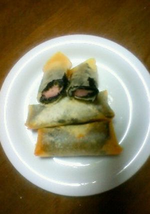 魚肉ソーセージの春巻-レシピのメイン写真