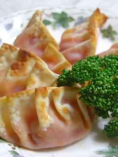 一口ピザ餃子-レシピのメイン写真