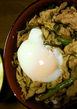いっぱい食べてね!!うちの豚丼-レシピのメイン写真