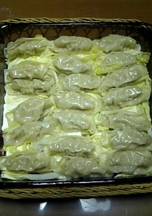 蒸し餃子-レシピのメイン写真