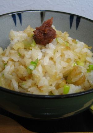 天かす丼-レシピのメイン写真
