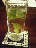 清涼感ある焼酎　しそ焼酎♪