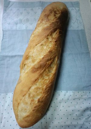 フランスパン✿バタール-レシピのメイン写真