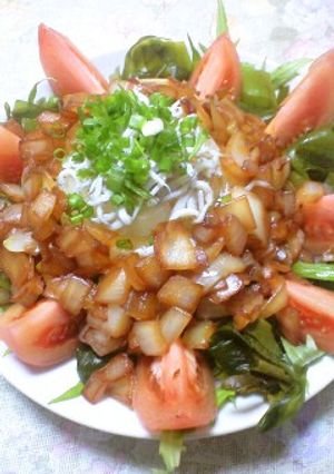 リケン青シソドレのホット豆腐玉葱サラダ-レシピのメイン写真