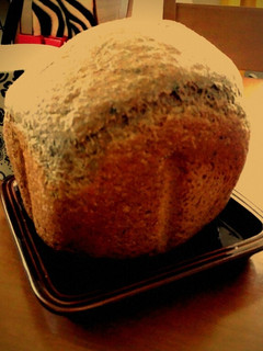 HB☆ゴマとひじきの全粒粉パン-レシピのメイン写真