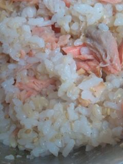 鮭ごはん。-レシピのメイン写真
