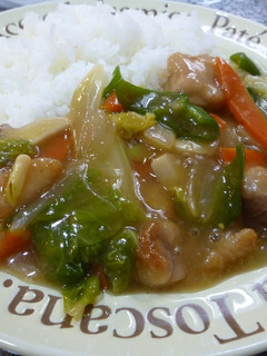 おばぁちゃんの中華丼♪-レシピのメイン写真