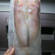 魚も肉もカチンコチンで美味しさ長持ち♪