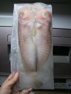 魚も肉もカチンコチンで美味しさ長持ち♪-レシピのメイン写真