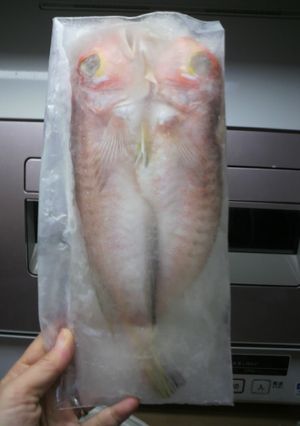 魚も肉もカチンコチンで美味しさ長持ち♪-レシピのメイン写真