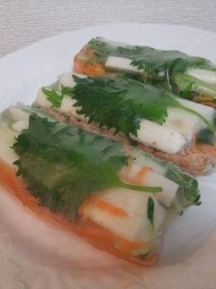シーチキン生春巻き by はごろもフーズ 【クックパッド】 簡単