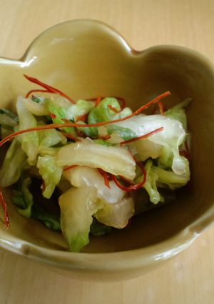 白菜の簡単漬け物-レシピのメイン写真