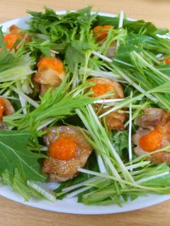 水菜と鶏肉ともみじおろしのさっぱりサラダ-レシピのメイン写真
