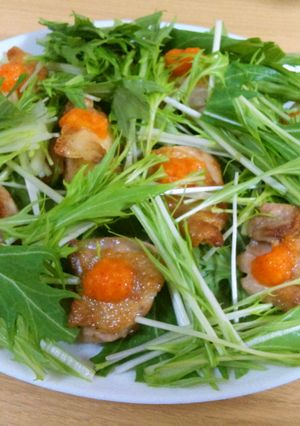 水菜と鶏肉ともみじおろしのさっぱりサラダ-レシピのメイン写真