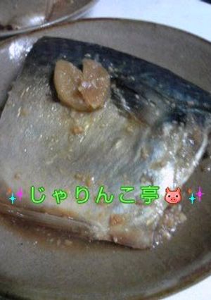 定番☆鯖味噌煮と、その後…-レシピのメイン写真