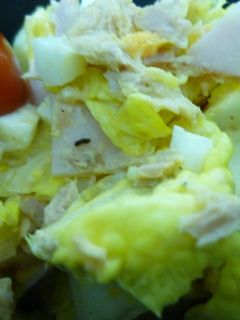 白菜サラダ-レシピのメイン写真