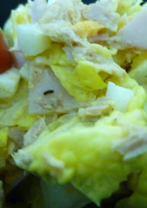 白菜サラダ-レシピのメイン写真