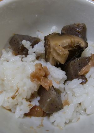 しいたけとこんにゃくの梅ごはん-レシピのメイン写真