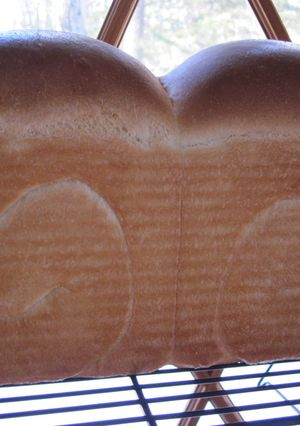 アメリカ　イースト臭を抑えた食パン-レシピのメイン写真