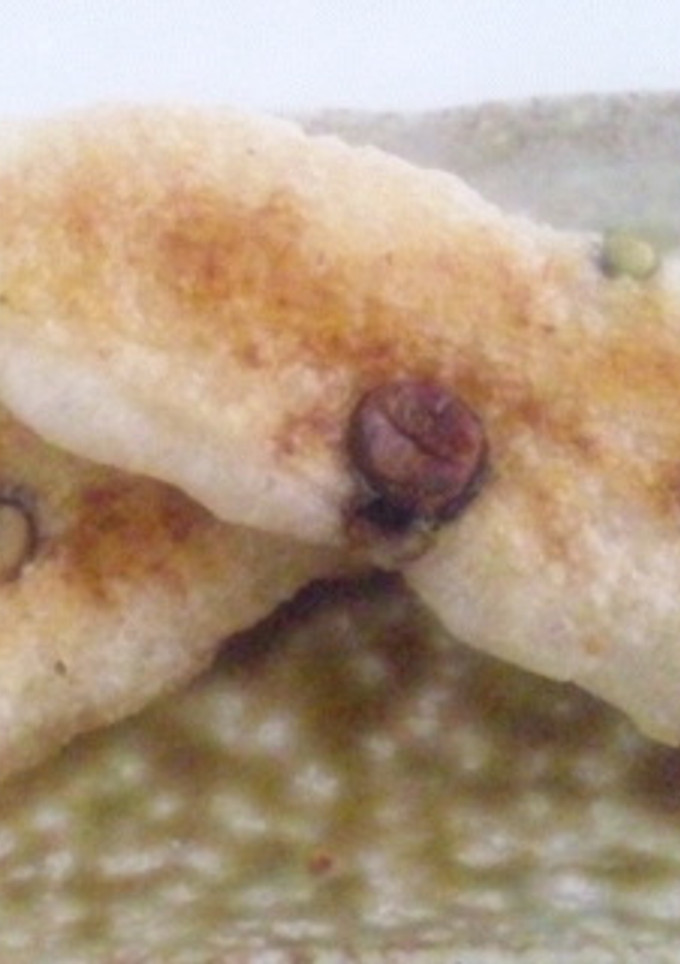 冷凍切り餅の美味しい焼き方♪-レシピのメイン写真