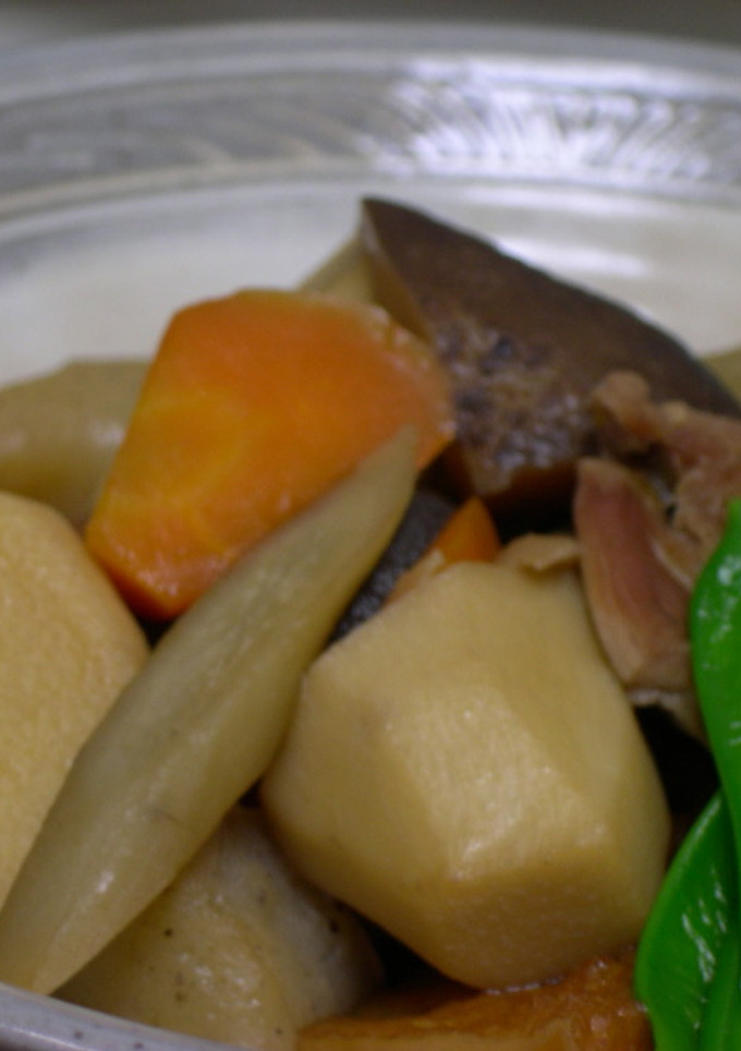 鶏肉と根菜の煮物-レシピのメイン写真
