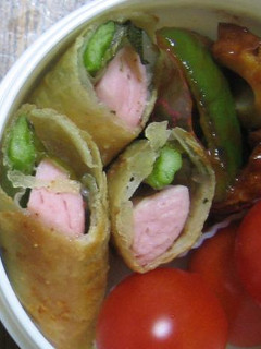 お弁当に春巻✿ギョニソ&アスパラ-レシピのメイン写真