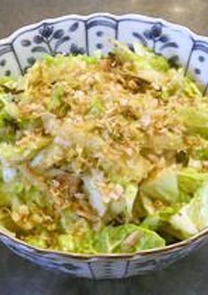 白菜のさっぱりボリュームサラダ-レシピのメイン写真