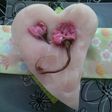 カロリー控えめ春の桜ようかん