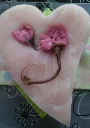カロリー控えめ春の桜ようかん-レシピのメイン写真