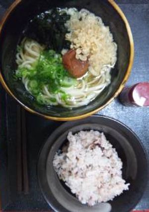 のっけるだけの簡単梅ワカメうどん-レシピのメイン写真