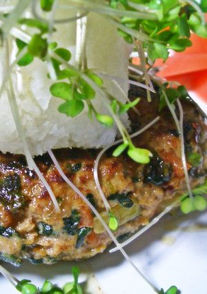 ほうれん草ハンバーグ♪-レシピのメイン写真