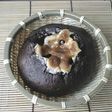 真っ黒ベーグル第2弾!★Rocky Road Bagel