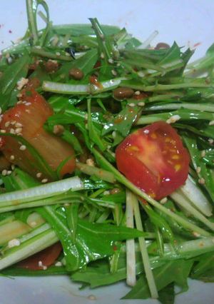 キムチと納豆のサラダ-レシピのメイン写真