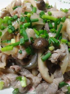 豚肉のサッパリ塩炒め!-レシピのメイン写真