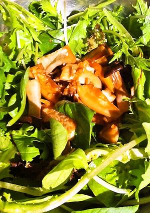 もりもり食べれる！きのこのグリーンサラダ-レシピのメイン写真