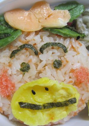 はなかっぱ弁当-レシピのメイン写真