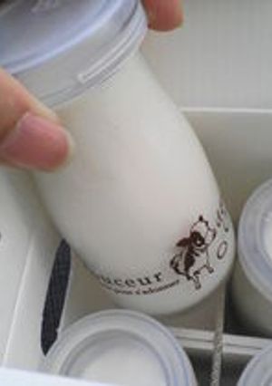 １００ｋｃａｌ以下の牛乳プリン-レシピのメイン写真