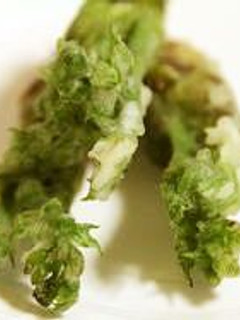 ◎たらの芽の米粉揚げ◎-レシピのメイン写真