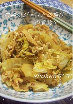 *白菜とジャコと油揚げの煮物♪*-レシピのメイン写真
