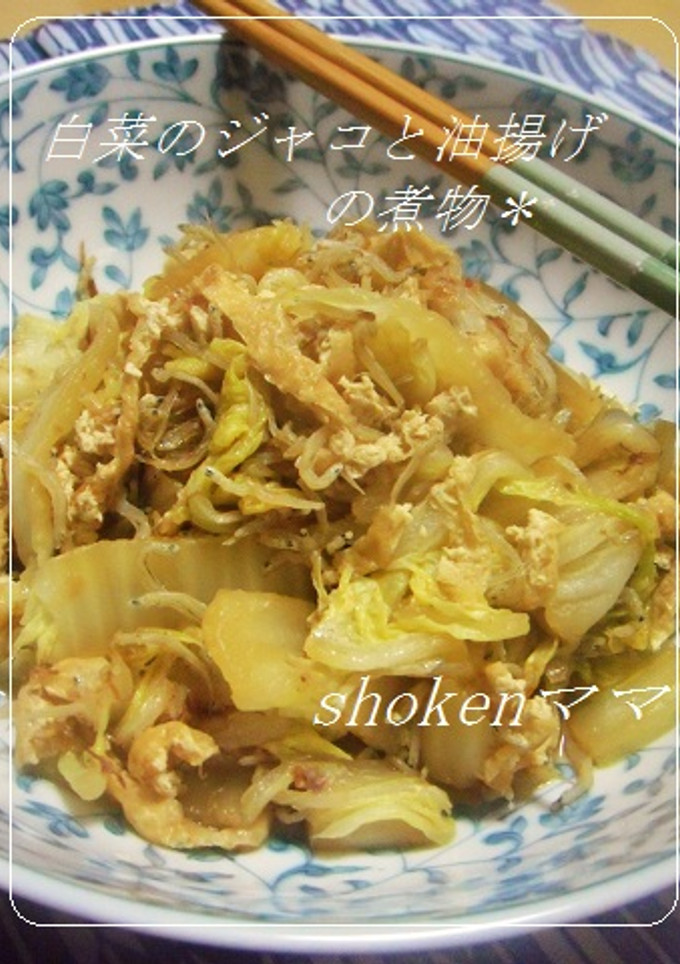 ＊白菜とジャコと油揚げの煮物♪＊-レシピのメイン写真