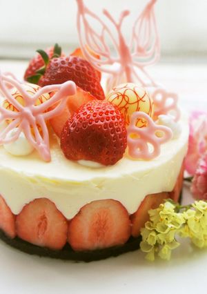 フレジエ風☆レアチーズケーキ-レシピのメイン写真