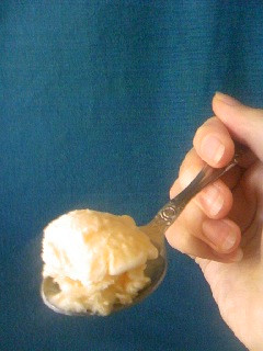 バニラアイス-レシピのメイン写真