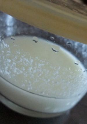 ヨーグルト酵母-レシピのメイン写真