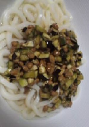 山形のだしdeぶっかけうどん-レシピのメイン写真